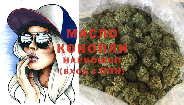 мдпв Надым