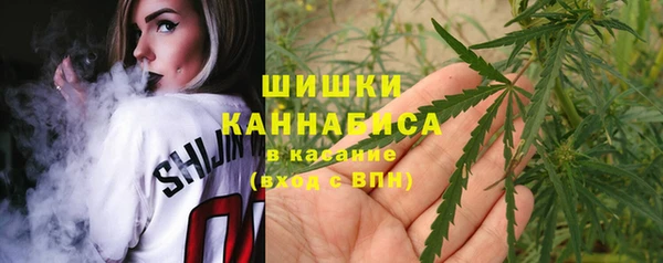 мдпв Надым